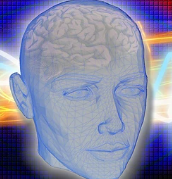 勤能补拙是良训